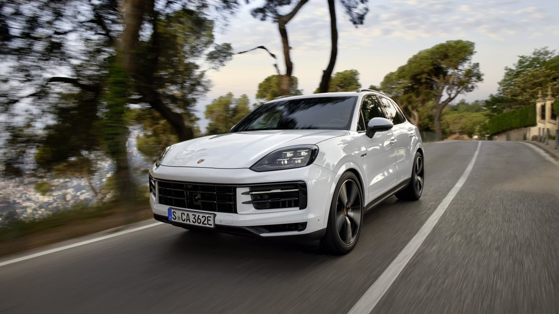 White Porsche Cayenne S E-Hybrid on a pine-lined road in the late-afternoon light